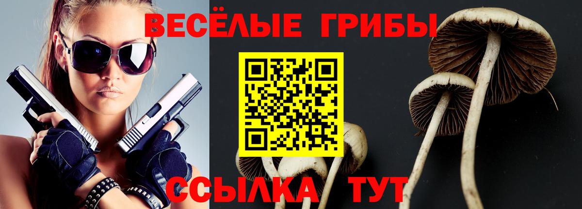 Галлюциногенные грибы Psilocybine cubensis  Псилоцибиновые грибы мицелий  Вход с VPN  Верхняя Салда 